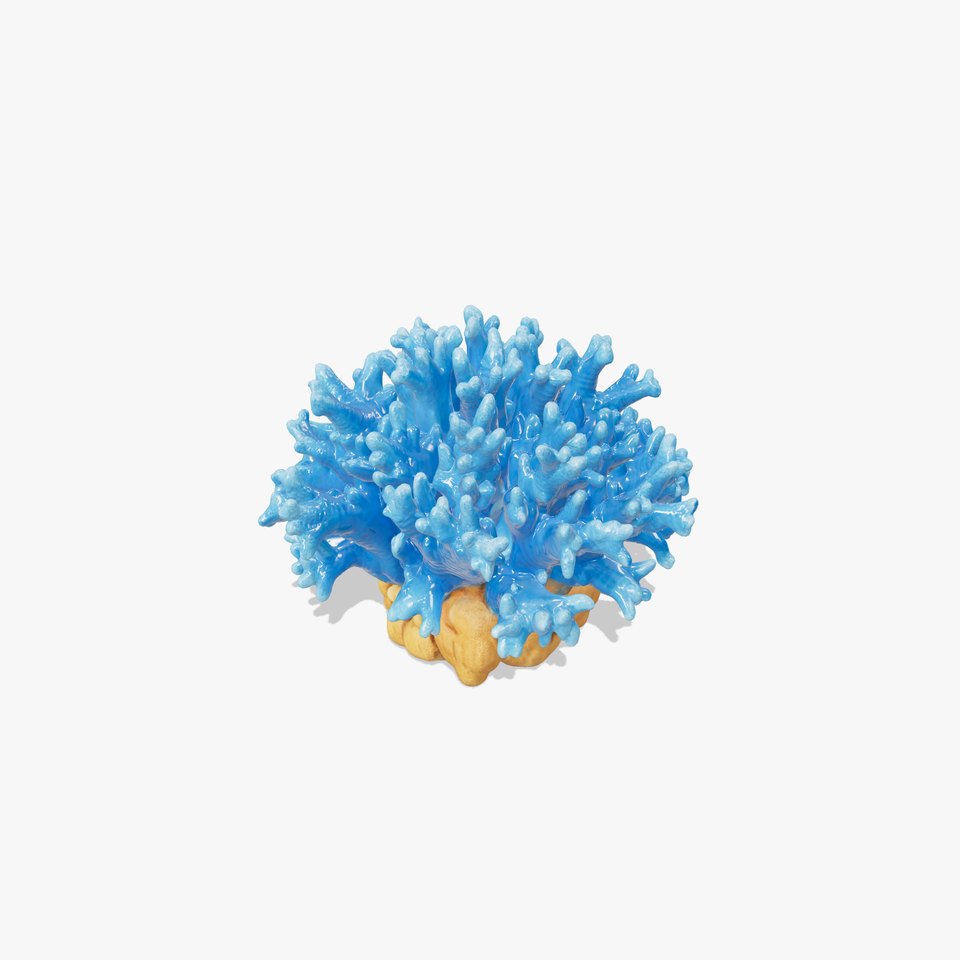 Blue Coral Reef Model Pack